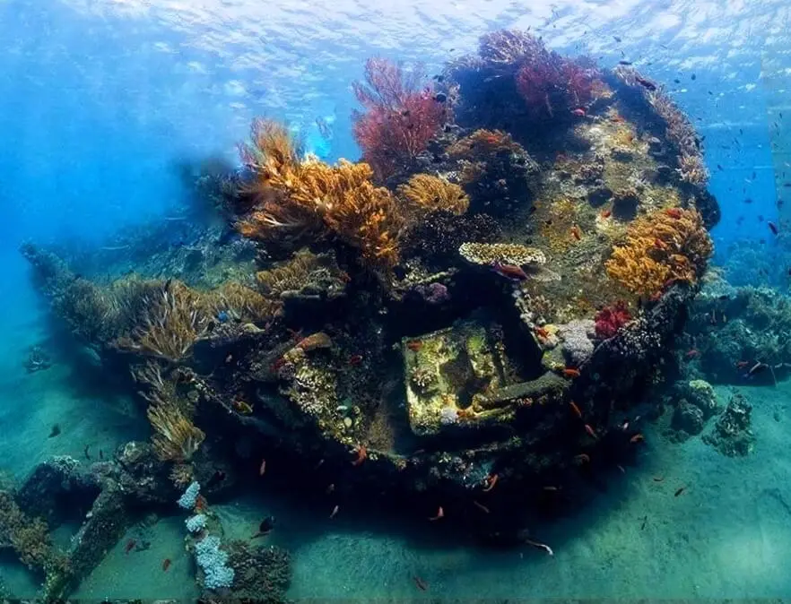 Amed Underwater: A Guide to Bali’s Most Breathtaking dives - Japanese Wreck dive spot